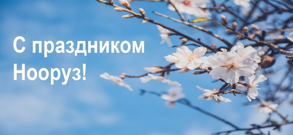 Без имени-1