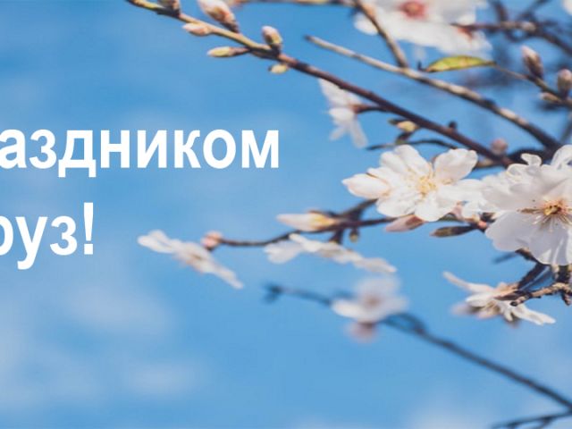 Без имени-1